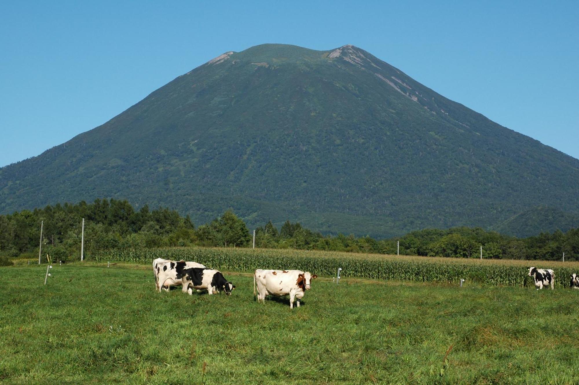 Niseko Highland Cottages Exteriér fotografie