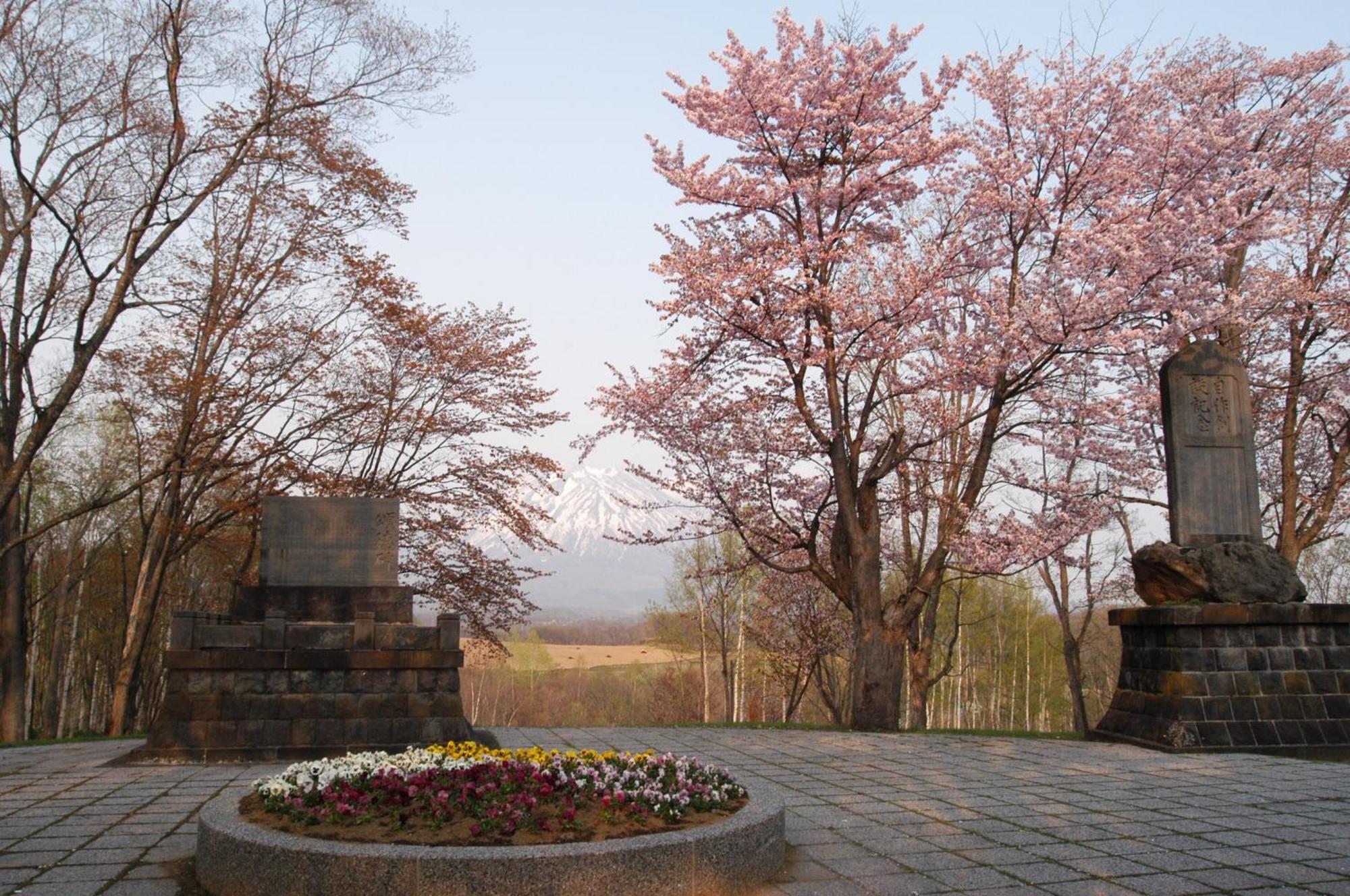Niseko Highland Cottages Exteriér fotografie